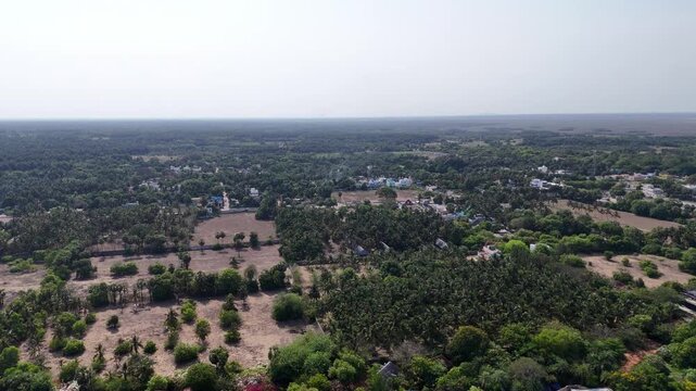 Aerial drone shot of a tranquil rural coastline in South India. A sandy beach meets a dense forest of palm trees and scattered houses, with a cleared patch of land.