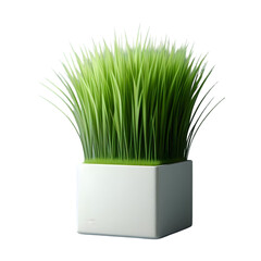 Vibrant green grass growing in a modern white square planter against a black background
