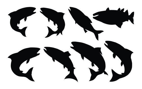 Set salmon fish silhouette collection. Sea animal salmon fish vector illustration.