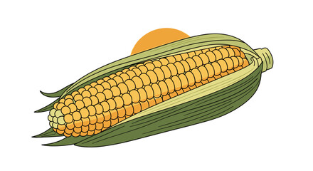 Healthy golden corn cob with green leaves under the sun a delicious summer vegetable