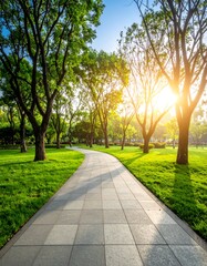 Obraz premium Park path in sunlight