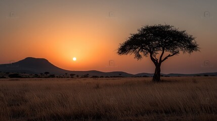 Fototapeta premium A solitary acacia tree silhouetted against a sunrise over the African savanna.