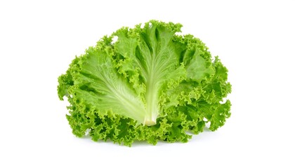 Fresh green leaf lettuce, vibrant, crisp, isolated on white
