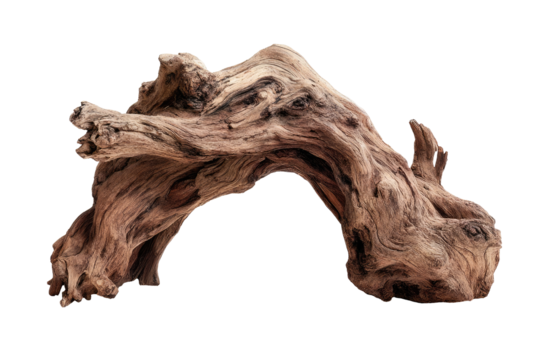 Close-up of weathered driftwood, arching shape