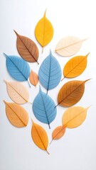 Autumn Leaves Arranged on White Background (2)