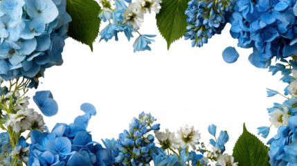 Colorful Hydrangea Floral Blossoms Natural Decoration Frame Border PNG on Transparent PNG