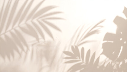 Soft tropical plant leaf shadows on a bright wall. Minimal natural background for product display, design mockups, or interior aesthetics.