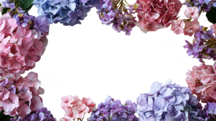 Colorful Hydrangea Floral Blossoms Natural Decoration Frame Border PNG on Transparent PNG