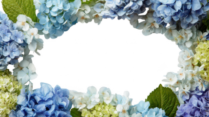 Colorful Hydrangea Floral Blossoms Natural Decoration Frame Border PNG on Transparent PNG