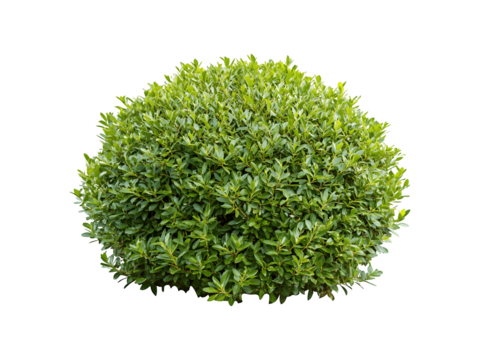 beach sand with an empty space in the middle