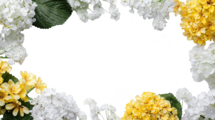 Colorful Hydrangea Floral Blossoms Natural Decoration Frame Border PNG on Transparent PNG