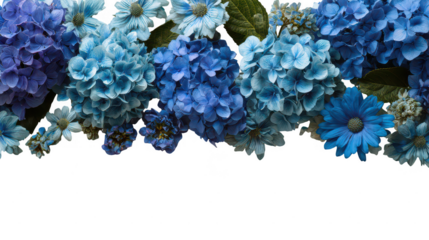 Colorful Hydrangea Floral Blossoms Natural Decoration Frame Border PNG on Transparent PNG