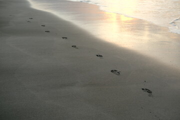 Footprints on Wet Beach Sand with Incoming Wave at Sunrise