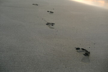 Footprints on Wet Beach Sand with Incoming Wave at Sunrise