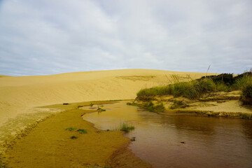 Amazing views of the Giant Sand Dunes, Cape Reinga, New Zealand.