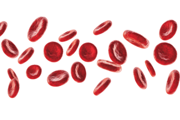 Multiple red blood cells moving through the air