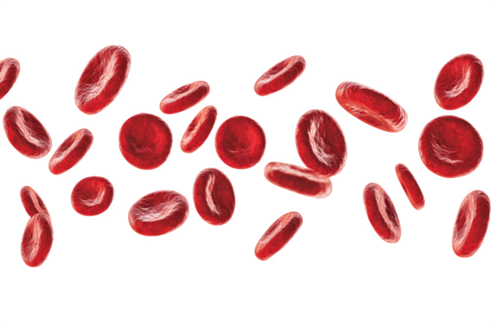 Multiple red blood cells moving through the air