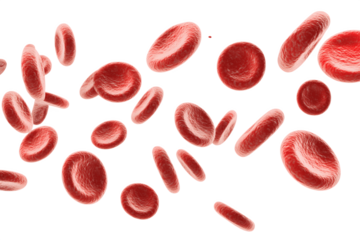 Multiple red blood cells moving through the air
