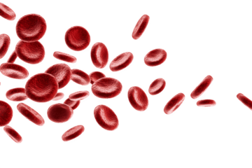 Multiple red blood cells moving through the air