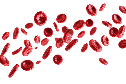 Multiple red blood cells moving through the air