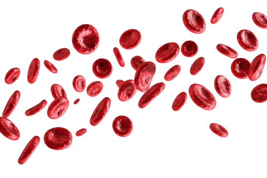 Multiple red blood cells moving through the air