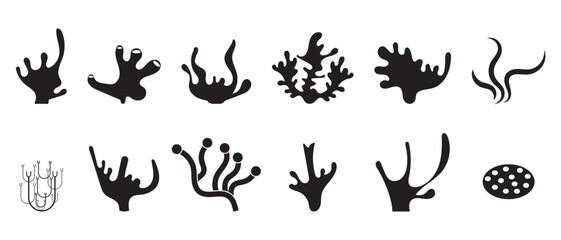 Coral icons set. flat style coral icon on white background.