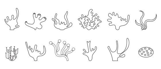 Coral icons set. flat style coral icon on white background.