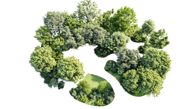 tree site plan on white background