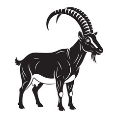 Black Goat Silhouette Vector with Horns on White Background