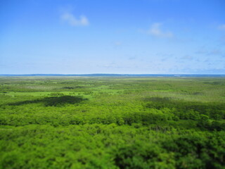 Kushiro Shitsugen National Park, Hokkaido, Japan - Diorama Effect