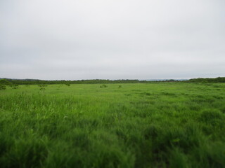 Kushiro Shitsugen National Park, Hokkaido, Japan - Diorama Effect