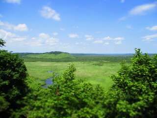 Kushiro Shitsugen National Park, Hokkaido, Japan - Diorama Effect