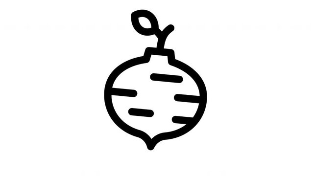 radish minimalist line animation