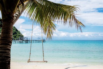 hammock on the beach