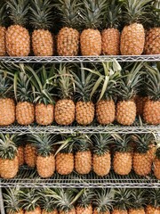 pineapple fruit market