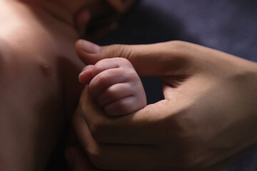 Parent holding hand of newborn baby in the hands