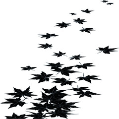 Fototapeta premium Silhouette Falling maple leaves illustration nature autumn season art