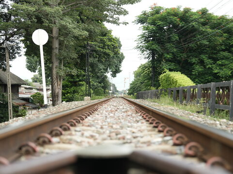 railway in the park