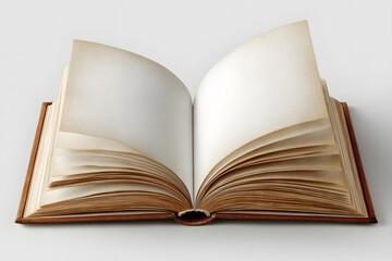 Obraz premium Blank open book