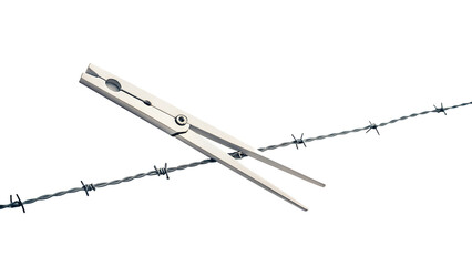 divider with isolated background