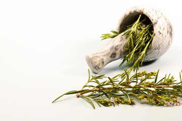 Fresh rosemary herb sprigs with flowers spilling from a marble mortar and pestle, ready for grinding and cooking