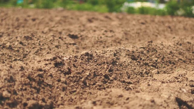 Freshly plowed soil in spring garden ready for planting seeds, showing fertile ground texture and natural moisture, ideal for farming and sustainable agriculture projects.
