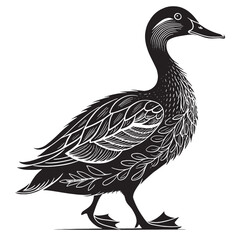 black india nrunner  Silhouette Vector, High Quality Illustration on White Background