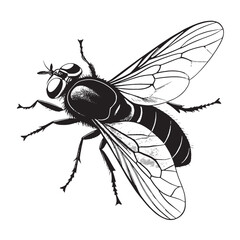 black hoverfly Silhouette Vector, High Quality Illustration on White Background