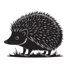 black hedgehog Silhouette Vector, High Quality Illustration on White Background