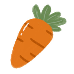 cute carrot illustration