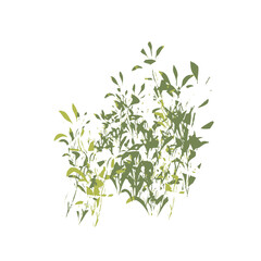 Stylized Green Foliage Cluster on White Background