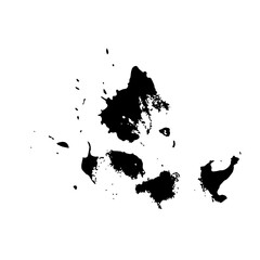 Obraz premium Abstract Black Ink Splash on White Background
