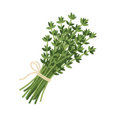 Obraz premium Bouquet of Fresh Green Herbs Bundle on White Background