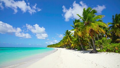 Tropical beach with turquoise water, white sand, and lush palm trees under a bright blue sky with scattered clouds, evoking serenity, beauty, and peaceful escape.